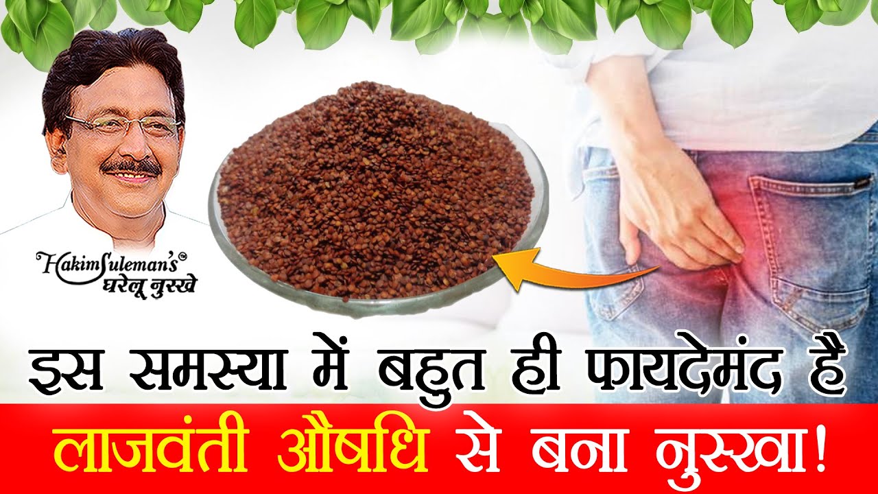 बवासीर की समस्या में फायदेमंद है लाजवंती और ये 3 औषधियों का मिश्रण!