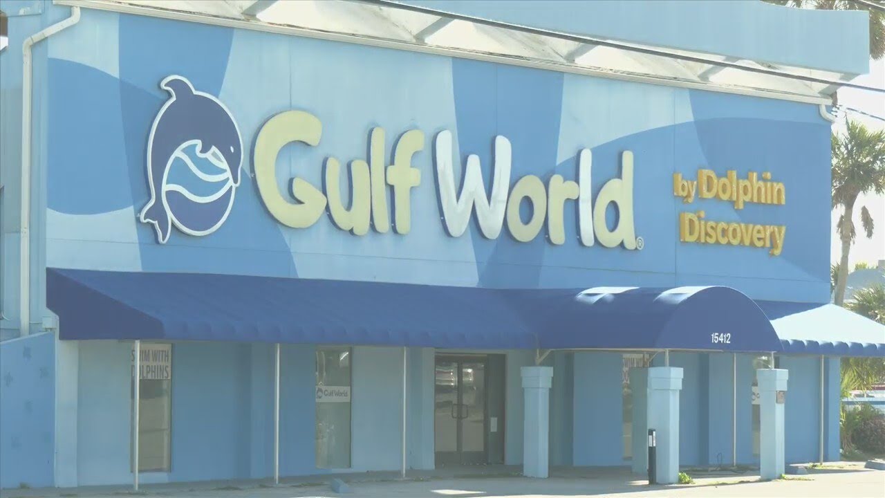 Gulf World Marine Park faces backlash amid dolphin deaths