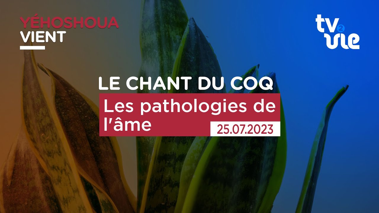 Les pathologies de l'âme