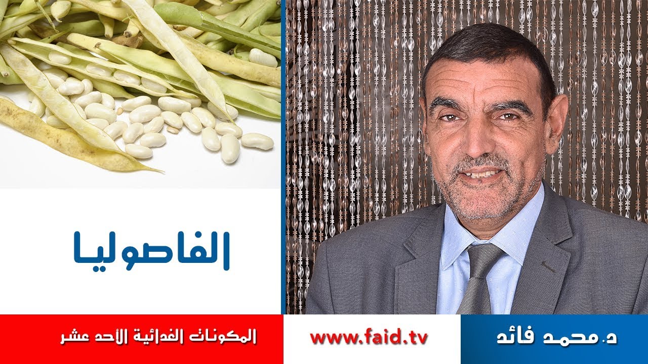 Dr faid |الفاصولياء| القطاني | المكونات الغذائية الأحد عشر | الدكتورمحمد فائد