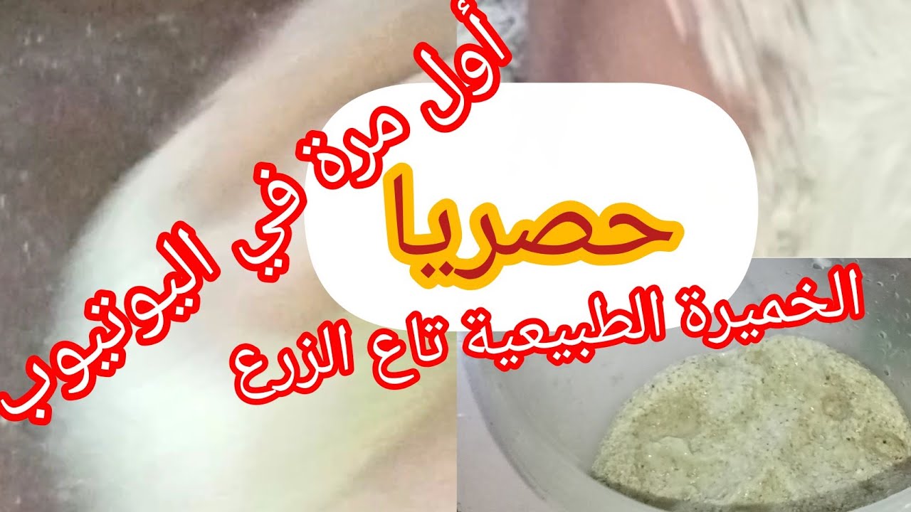 لاول مرة في اليوتيوب (الخميرة الطبيعية بدقيق الزرع حصريا في القناة ) التميز نجده هنا ☝️☝️☝️☝️☝️