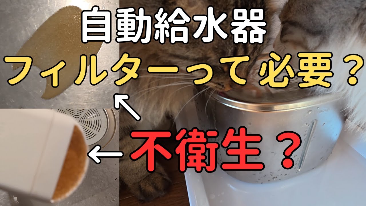 【猫の自動給水器】自動給水器のフィルターって不衛生ではないですか？フィルターを外した理由とその後の経過について