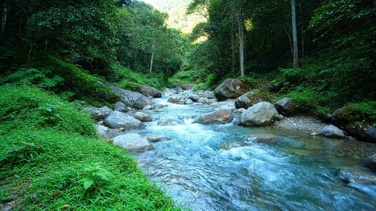 Gentle Relax – Beautiful Enchanted Water River Sound in Mountain Stream – Calm Thoughts