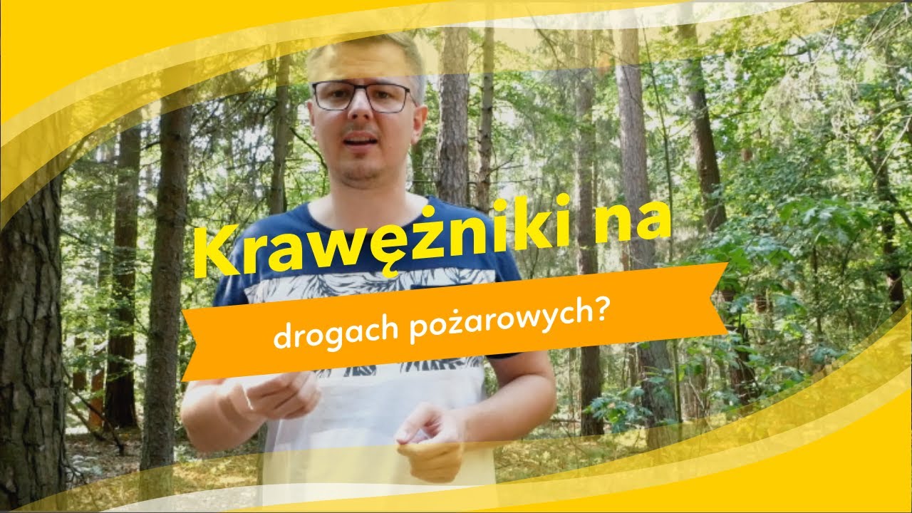 Odc. 4 - Czy w obrębie dróg pożarowych mogą występować krawężniki?