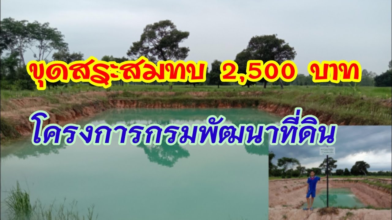 #ขุดสระกรมพัฒนาที่ดิน 2,500 บาท ความจุ 1260 ล.บ.ม. ได้บ่อใหญ่ #โคกหนองนาสวนศิลป์