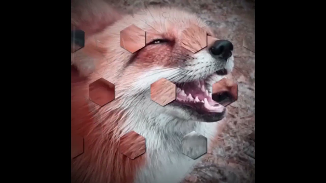 #skibiditoilet #дафакбум Коллаба С @gubby-edits3 @Neonfox52