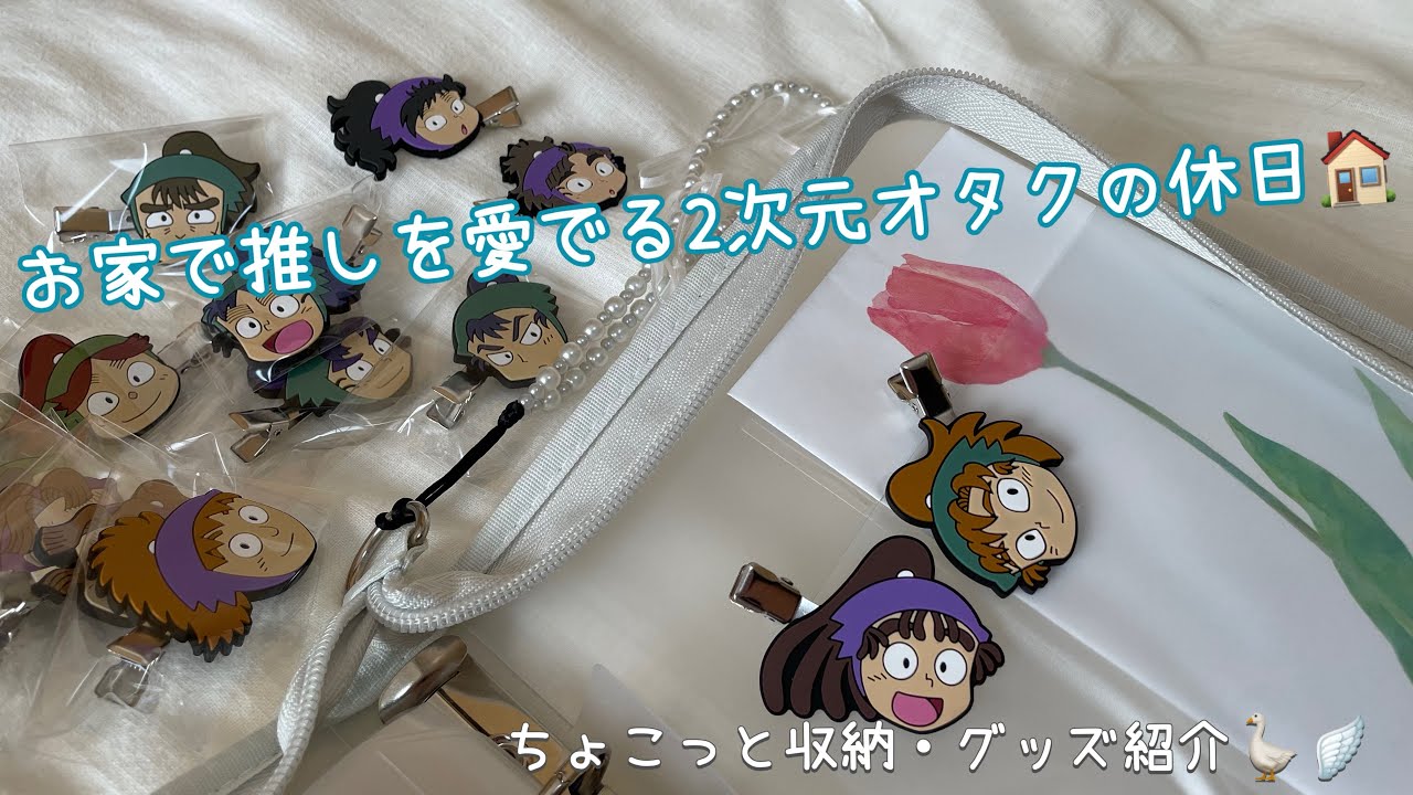 《𝑽‌𝑳‌𝑶‌𝑮》2次元オタクの休日🏠／忍たま🥷🥚グッズ収納と紹介🧺