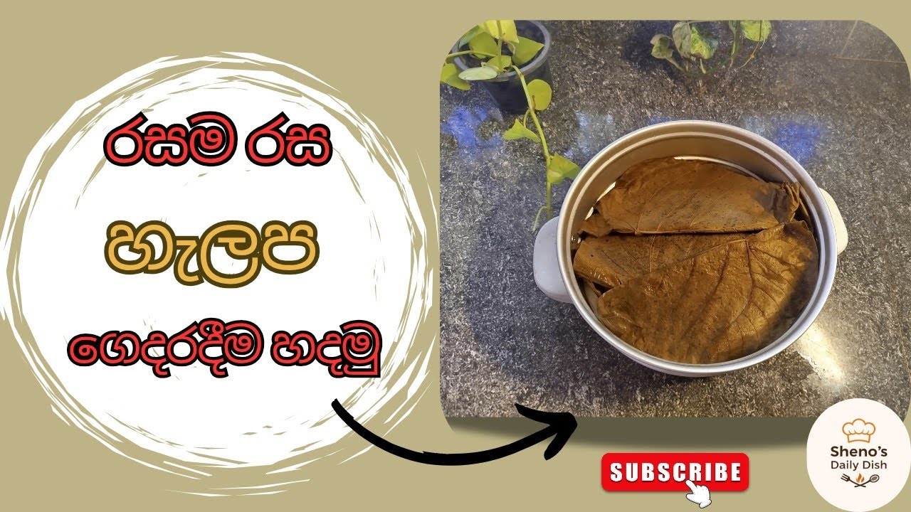 රසවත් හැලප සාදාගනිමු | Halapa Recipe Sinhala | හැලප හදමු | by Sheno's Daily Dish 🍃🥥