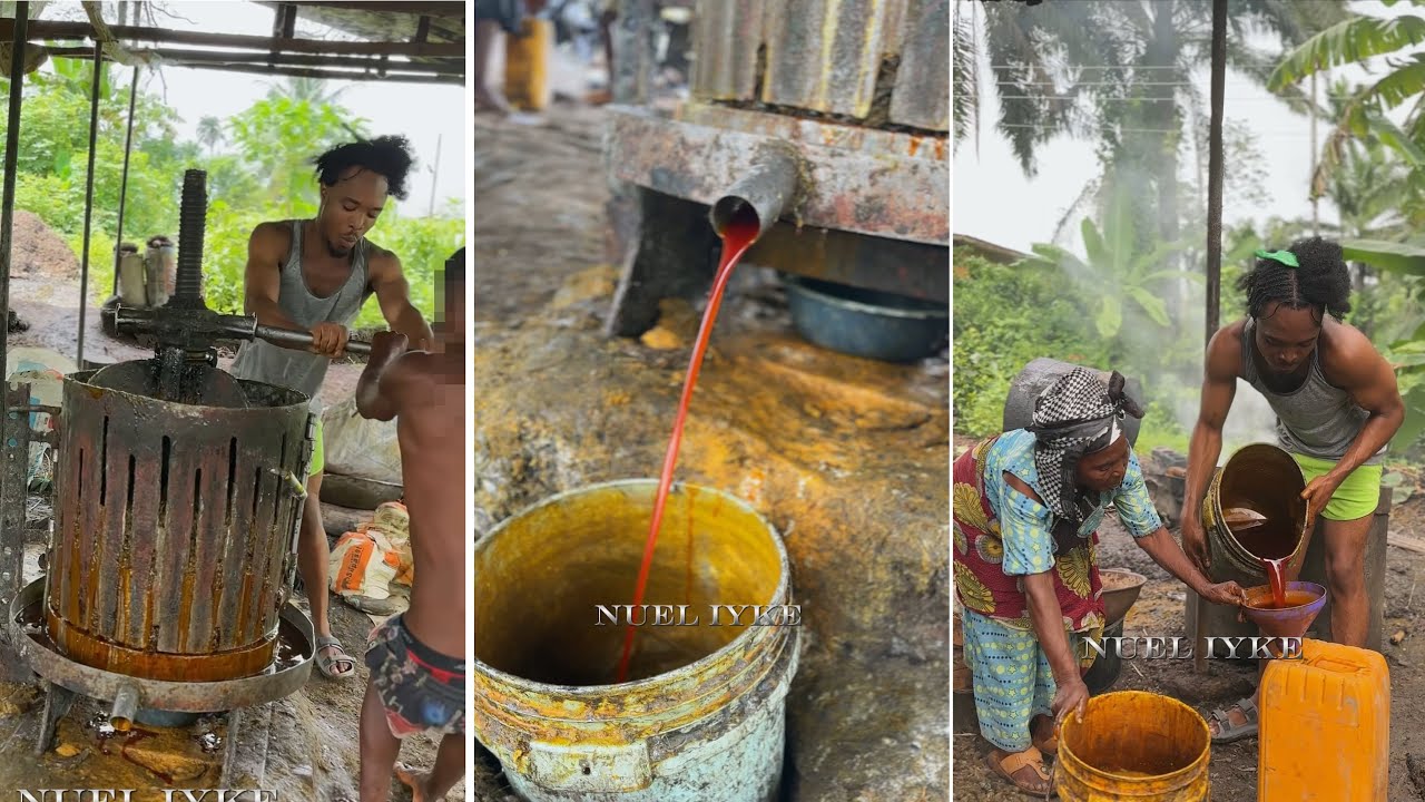 Palm oil making with my grandmother
