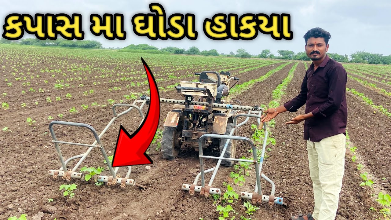 કપાસ 🌱મા ઘોડા હાંક્યા ॥સનેડો ॥ Virajmer