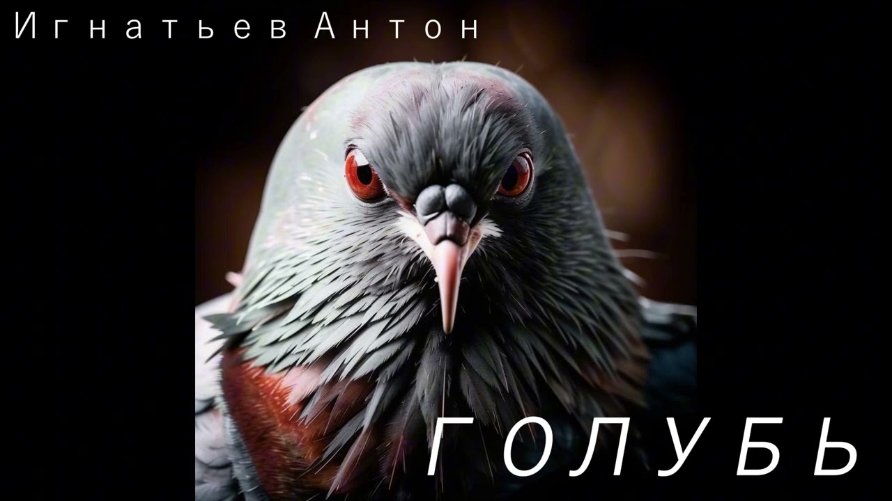 Голубь