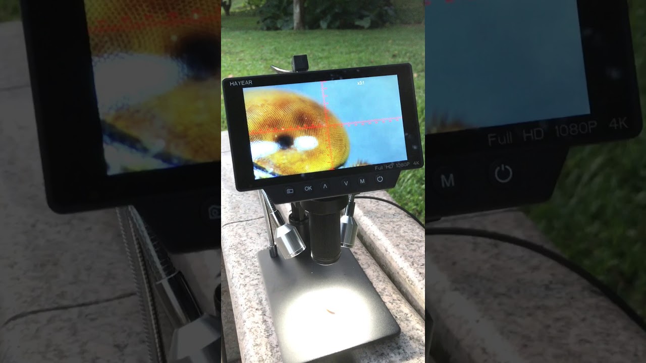 5 inch HDMI 4K HD usb digital Industry Video Inspection Microscope Camera Set TF Card Video Recorder