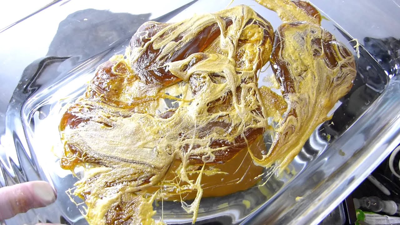 High Volume BHO, Processes for Wax, Honey Comb, Shatter and More!