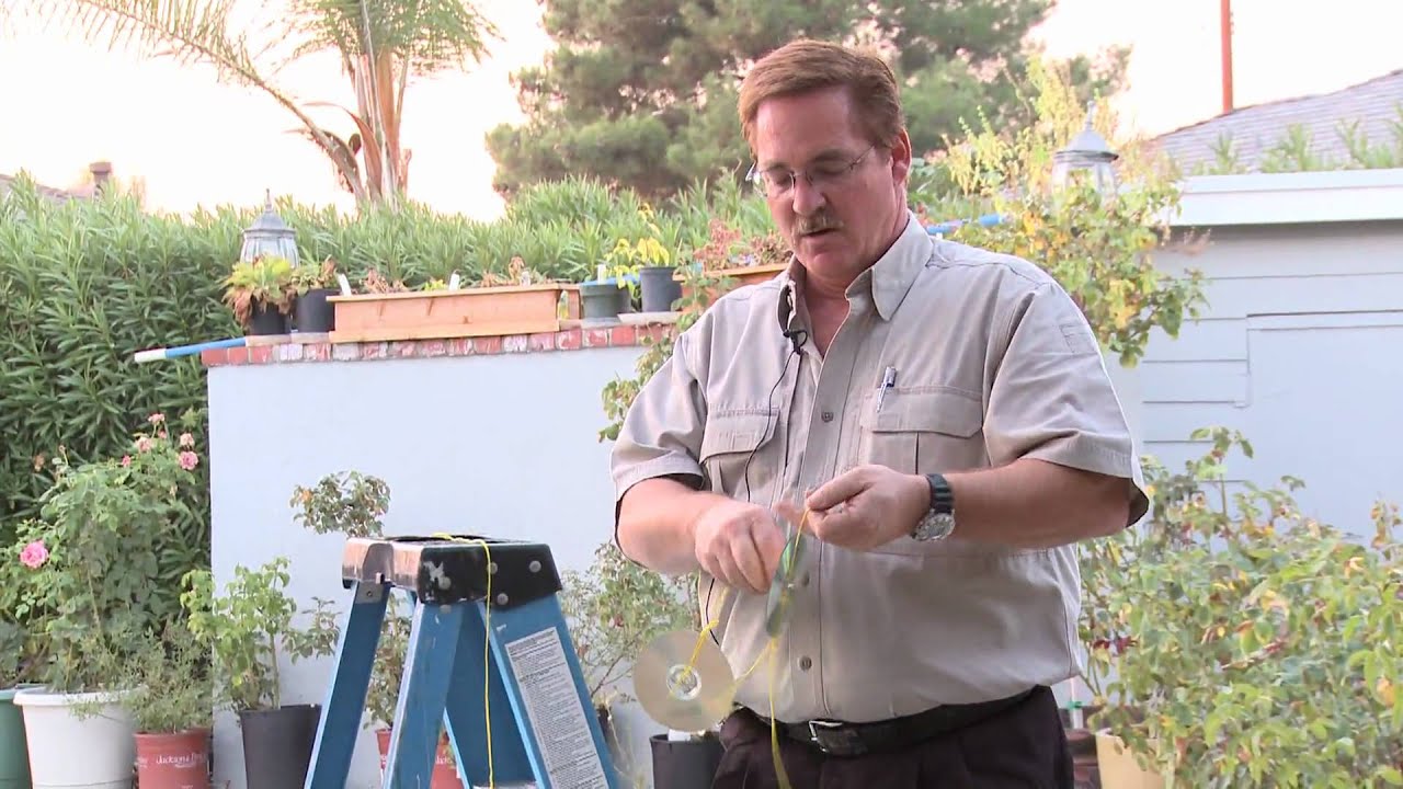 Home & Lawn Pest Control : How to Scare Away Birds With Old CDs