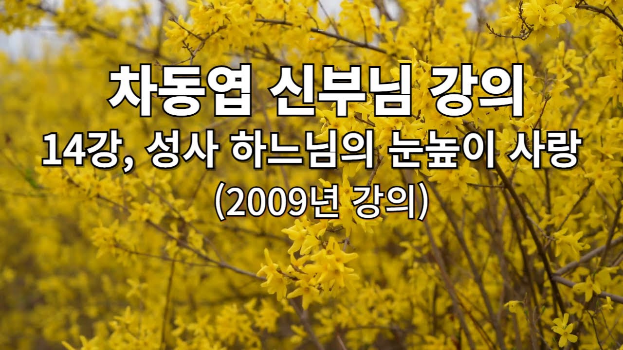 14강. 차동엽 신부님 강의, 14강 '성사, 하느님의 눈높이 사랑'- 여기에 물이 (2009년 강의)