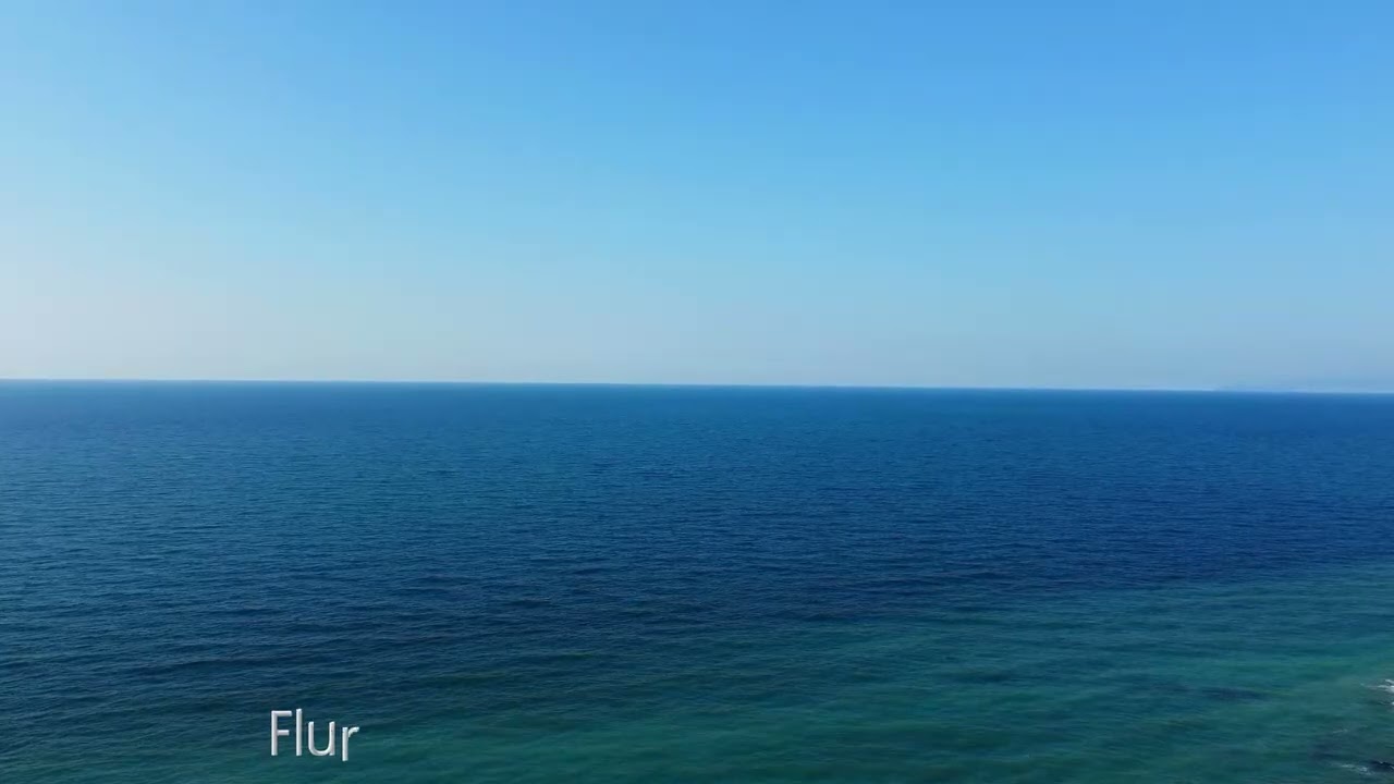 Reality IX