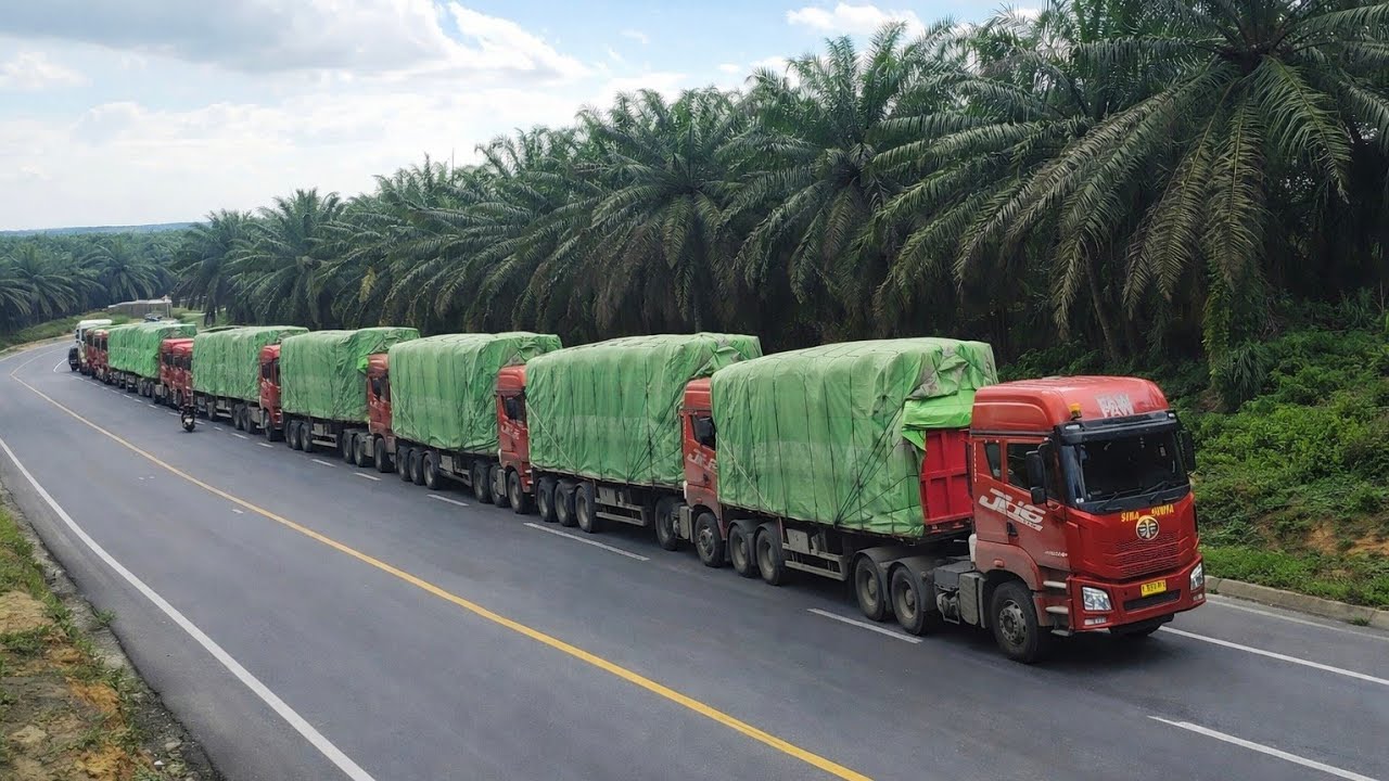 BIKIN MERINDING!!! Konvoi Terbanyak Truk Trailer Siba Surya Jh6 Bikin Gempar Bukit kodok Lupa Bisa