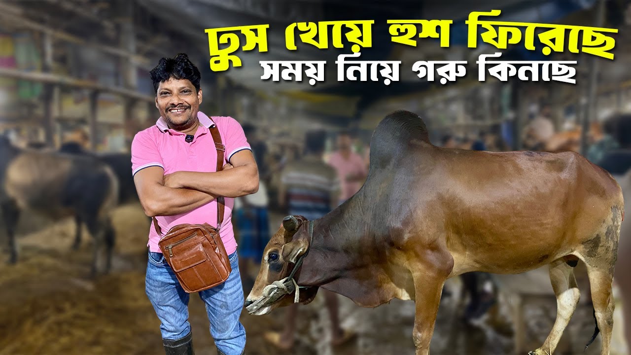 আকরাম ভাইয়ের আজকের নাটকীয় গরু কেনা! 😱 দাম শুনে হাট থমকে গেল | Gabtoli Haat