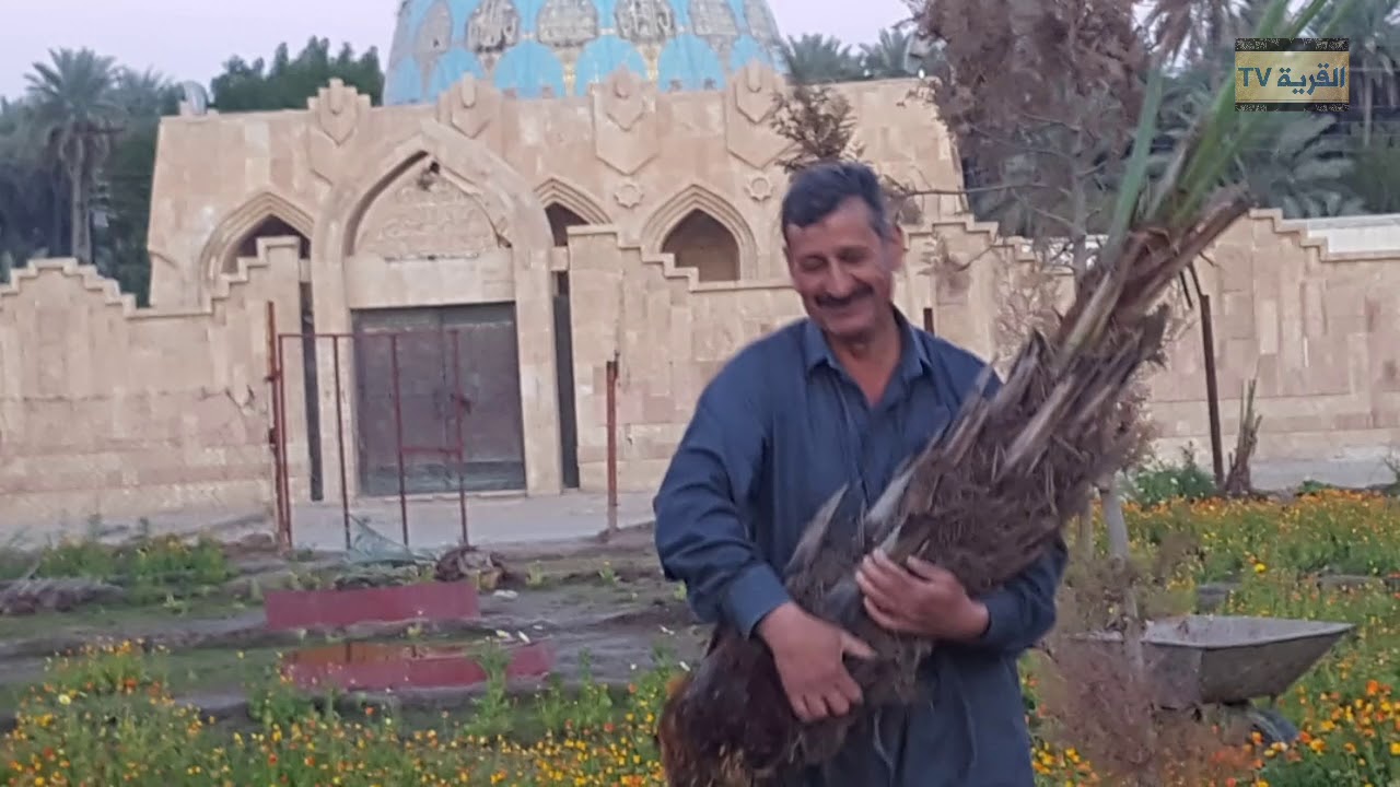 مشروع تشجير ساحة السيد شبيب ع من قبل اهالي الصباغية الكرام ٢٠١٩