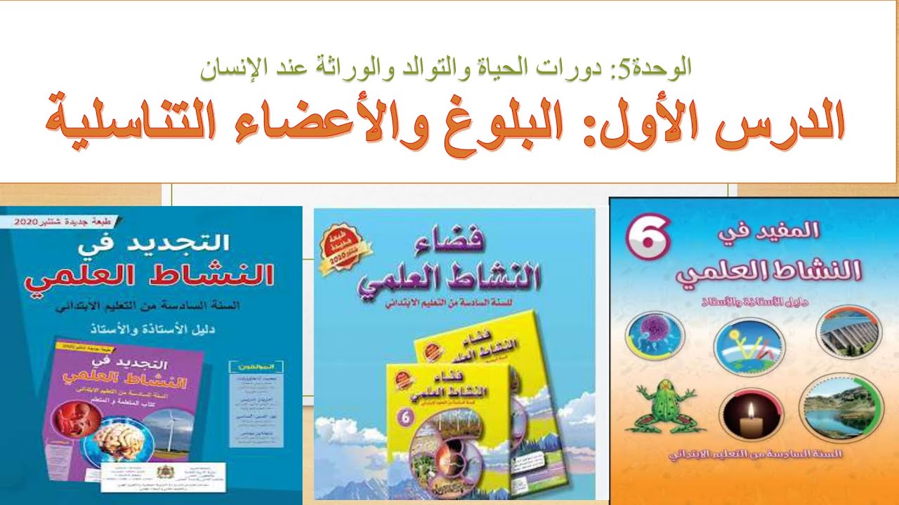 درس البلوغ والأعضاء التناسلية الدورة الثانية المستوى السادس ابتدائي