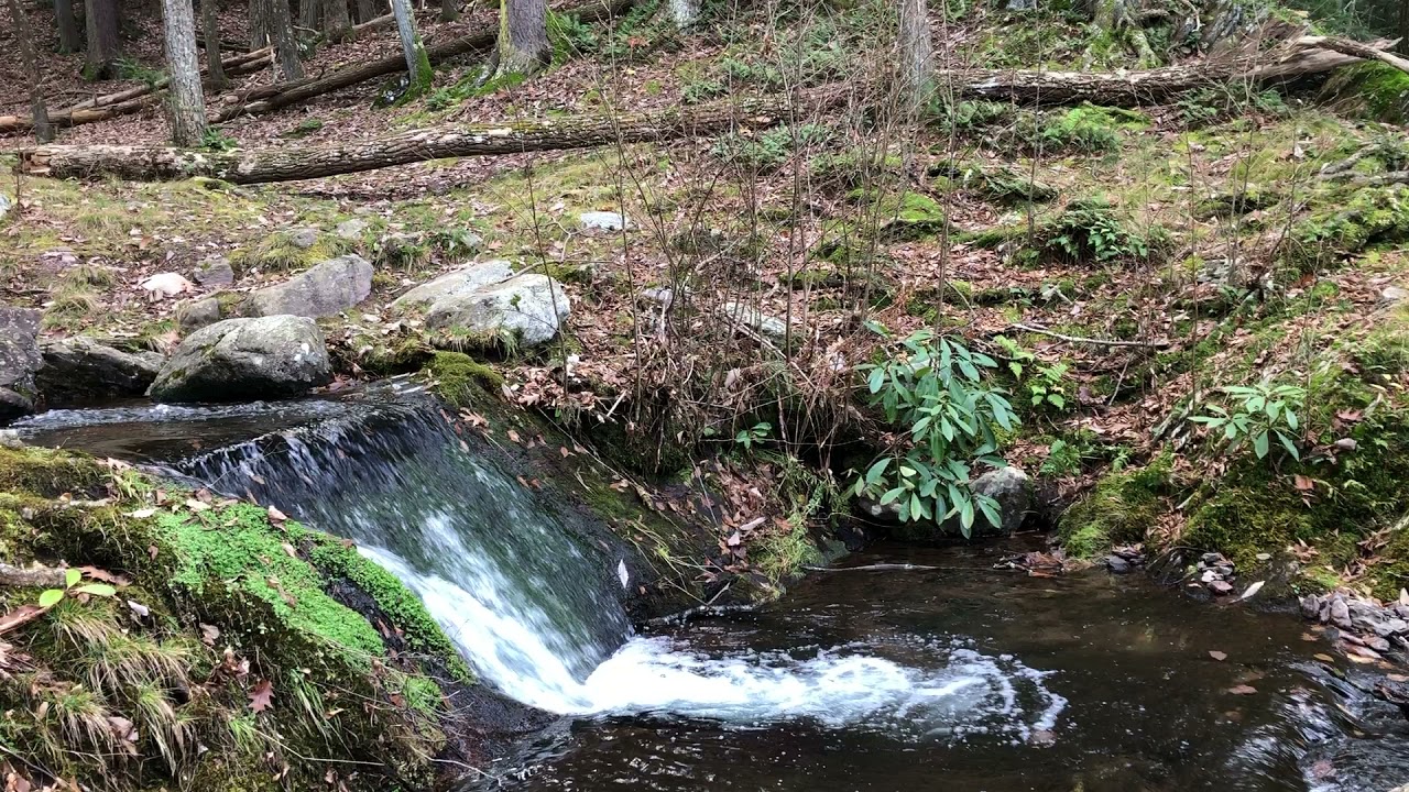 Buttermilk Falls, Walpack NJ, feeder pool right above the main falls