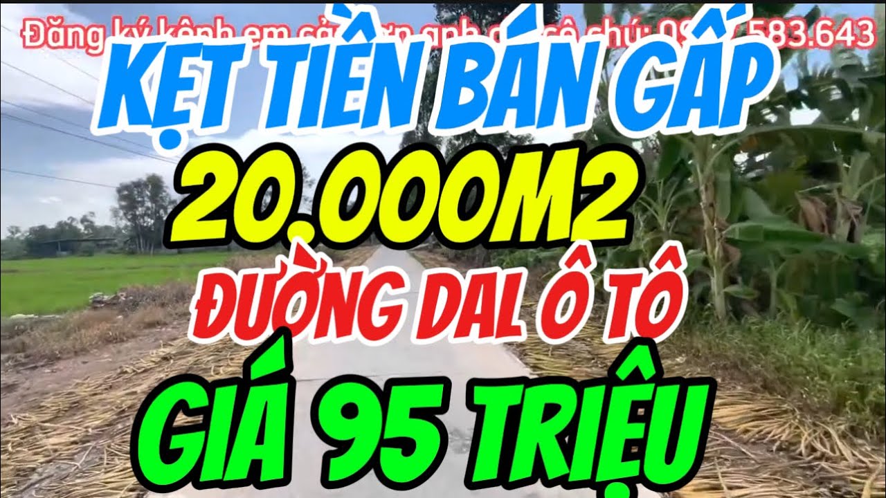 Kẹt tiền bán gấp 20.000m2 đất ruộng mặt tiền đường dal giá 95 triệu/1000m2 Giồng Riềng kiên Giang 