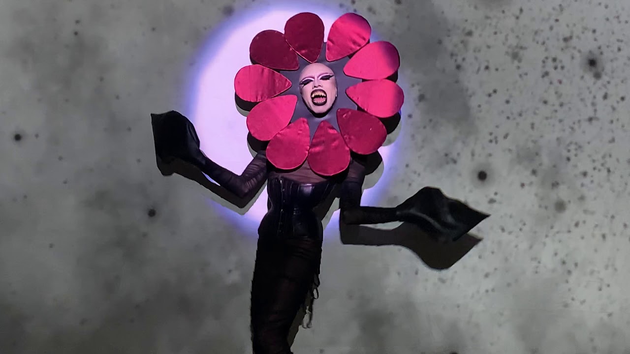 Vander Von Odd - Disassociative