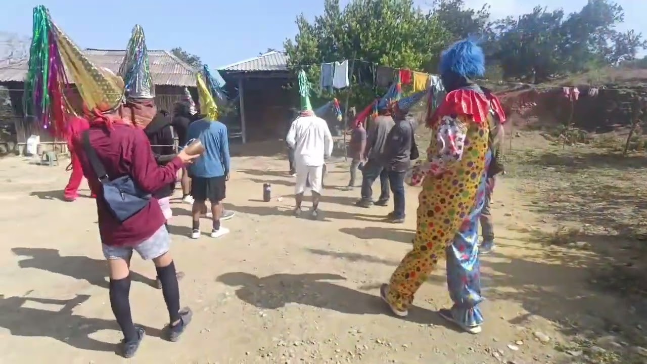 Carnaval Tlanempa comun 2026