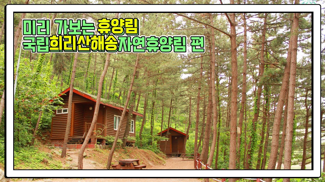 미리 가보는 휴양림 : 국립희리산해송자연휴양림 편