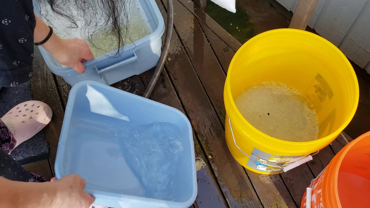 Reuse/Repurposing Blue Crystal Cat litter= sanitize, drying=SAVE $ Dries & absorbs, smells fresh.