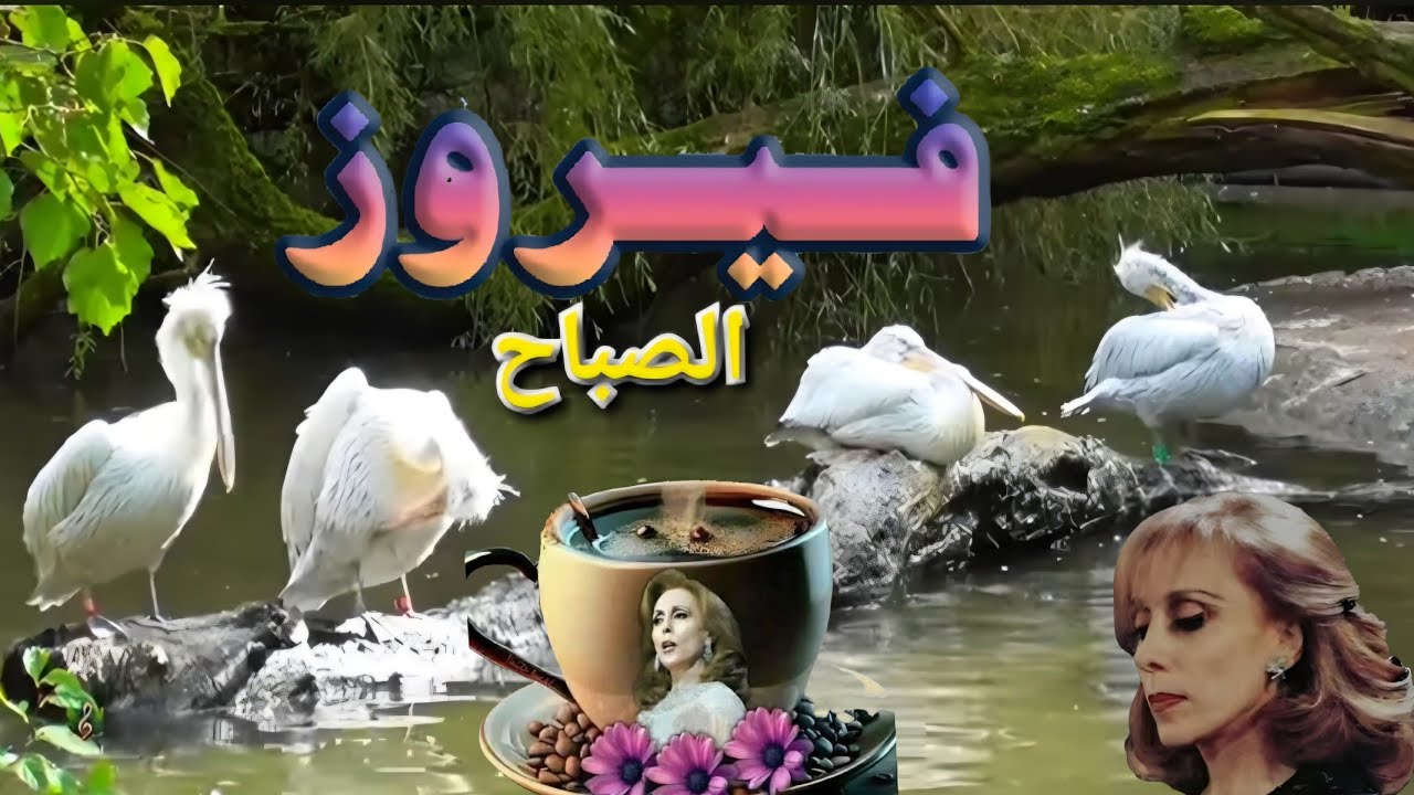 فيروزيات الصباح 🎼❤️ #fairuz 