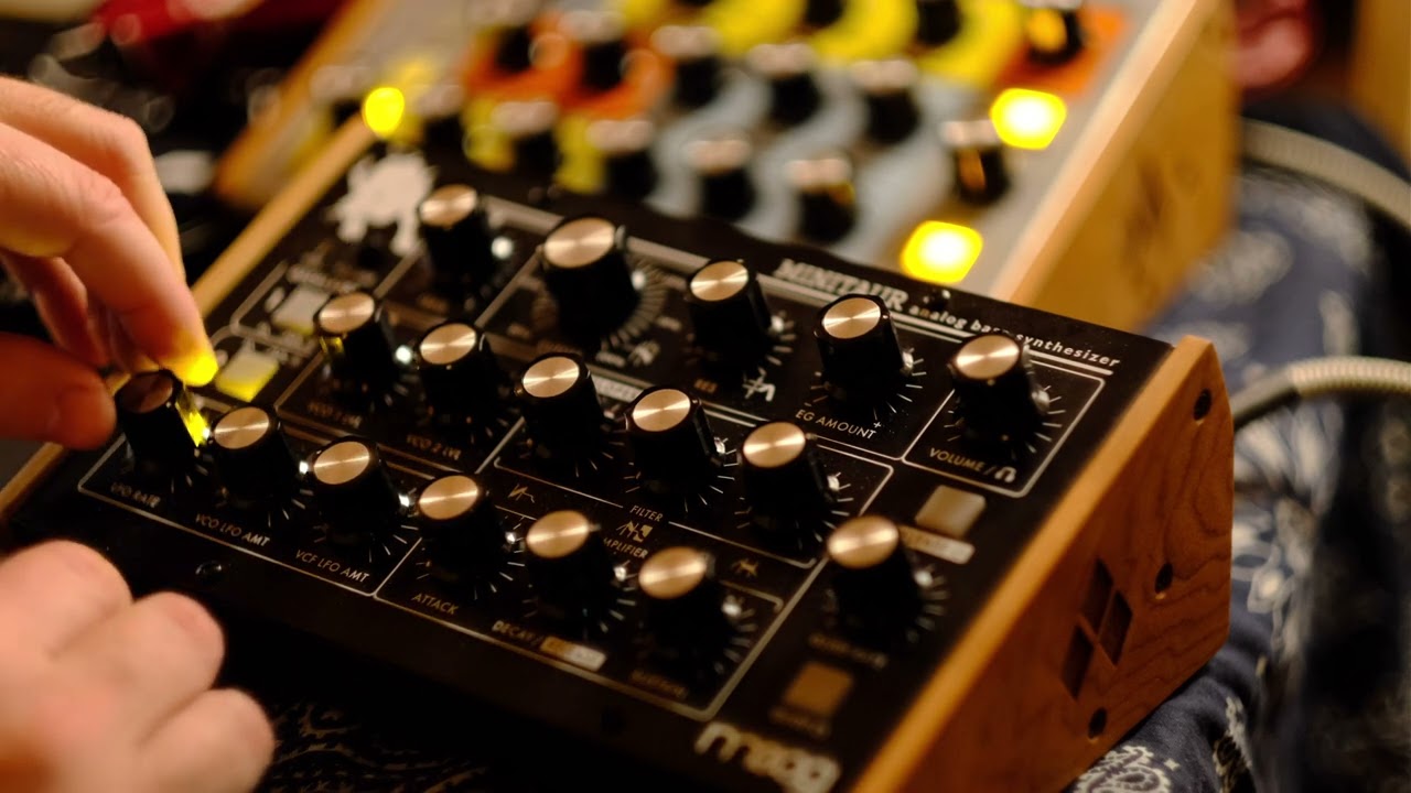 GREEN VALLEY 2022 - Moog Minitaur Analog Bass Monosynth Performance