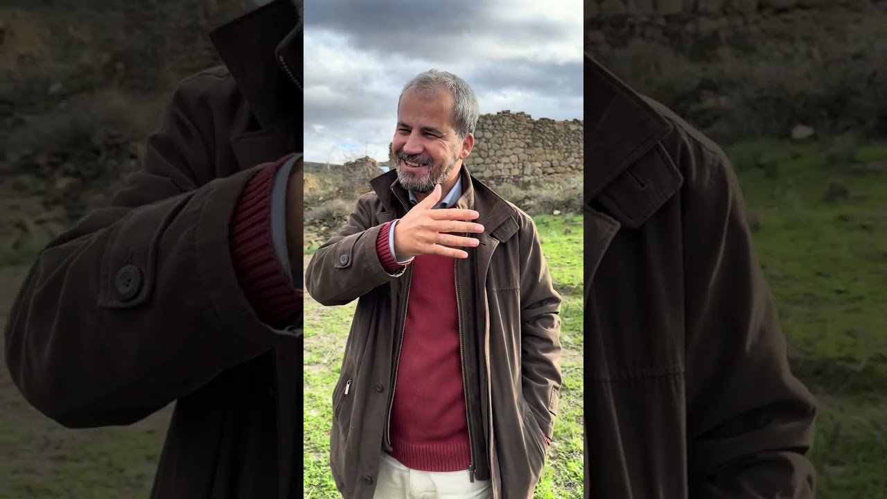  الأستاذ 