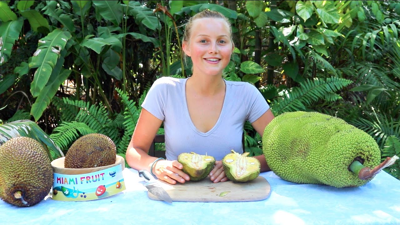 How To Tell When Jackfruit is Ripe PLUS 3 Fun Ways to Eat It!