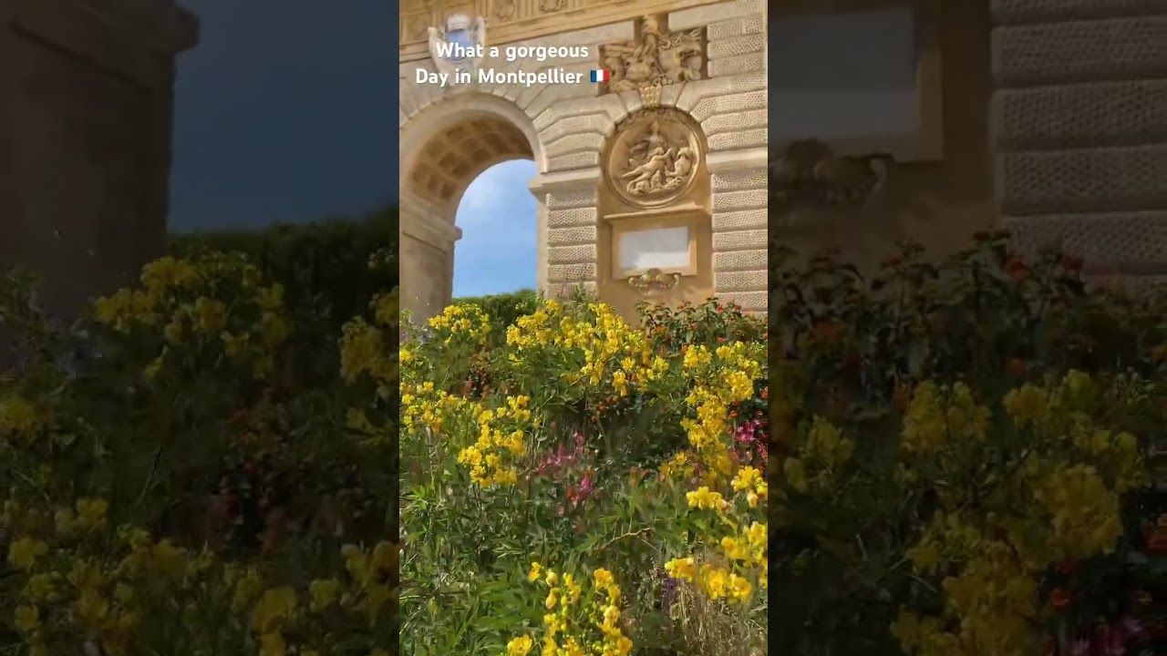 Had an amazing day in  Montpellier #france #montpellier #francetravel #traveling #flowers