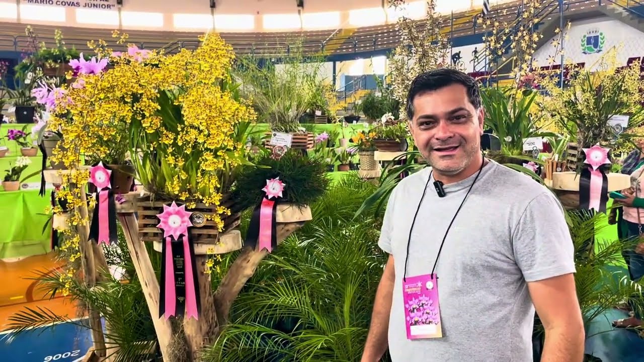 🏆 Pódio em Botucatu 2025 - Cattleya premiada na 33ª Exposição Nacional de Orquídeas 🌸💜