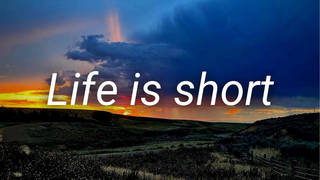 стихотворение о жизни