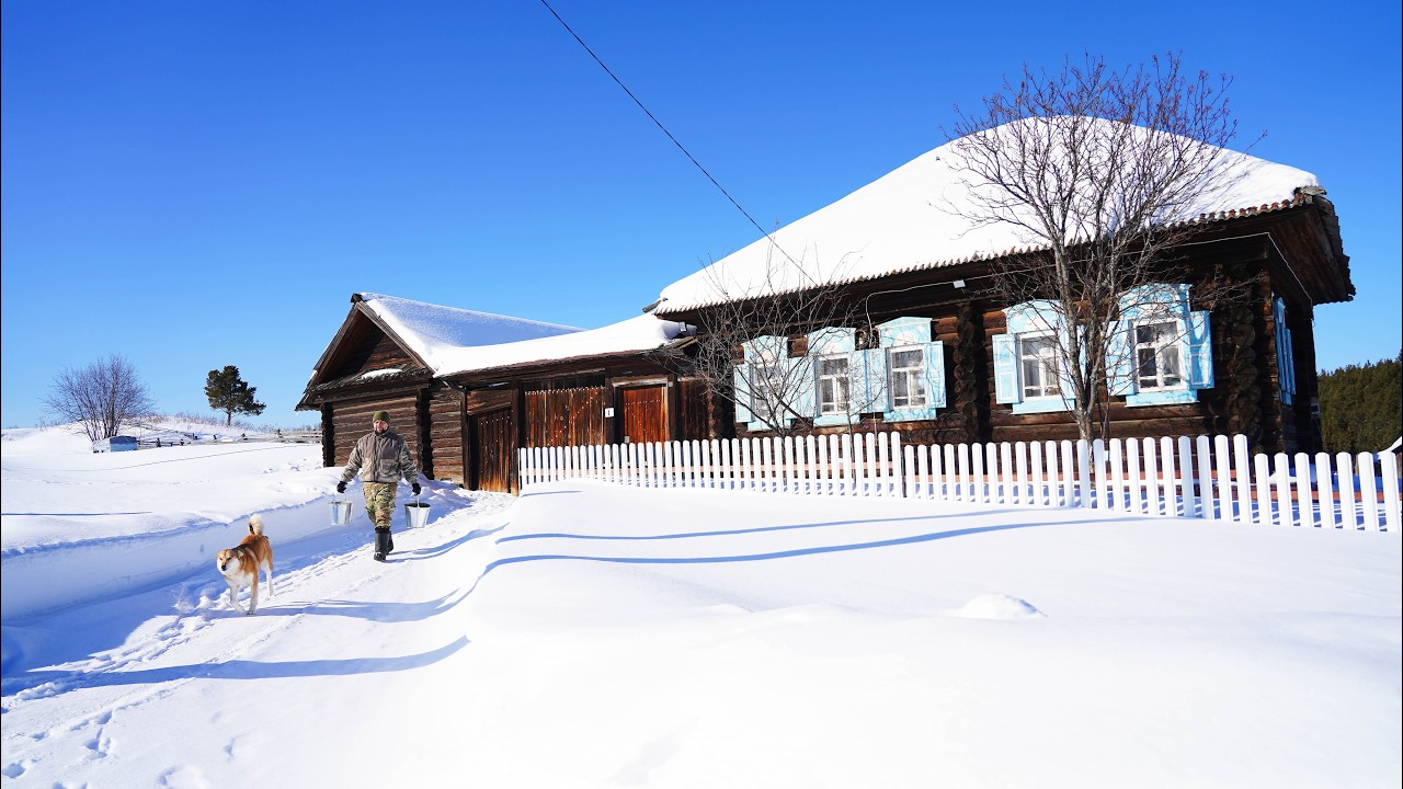 БОЛЬШАЯ ЖИЗНЬ В МАЛЕНЬКОЙ ДЕРЕВНЕ | ПРОВОДИМ ЭЛЕКТРИЧЕСТВО | ЗАПАС ДРОВ НА 5 ЗИМ | ЕДА ИЗ ПЕЧИ