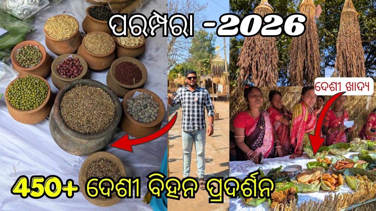 ଦେଶୀ ବିହନ Utsav -2026, ବରଗଡ଼ ll 450+ seeds Showcased ll Gadhamardhan Hill
