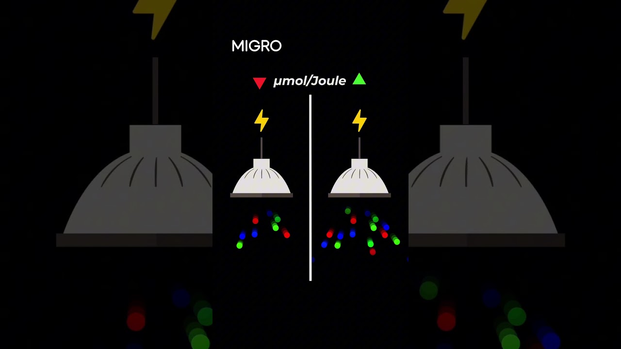 Что означает &micro;mol/Joule для освещения растений?