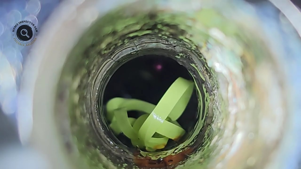 Glendale Home Inspection | Uncovering Spiders, Crickets, and Drain Issues