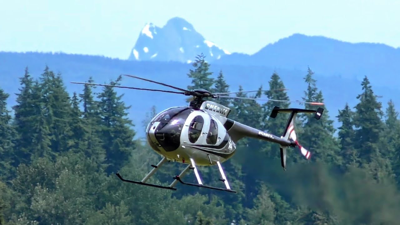 MD-500 and Medevac helicopters training exercise