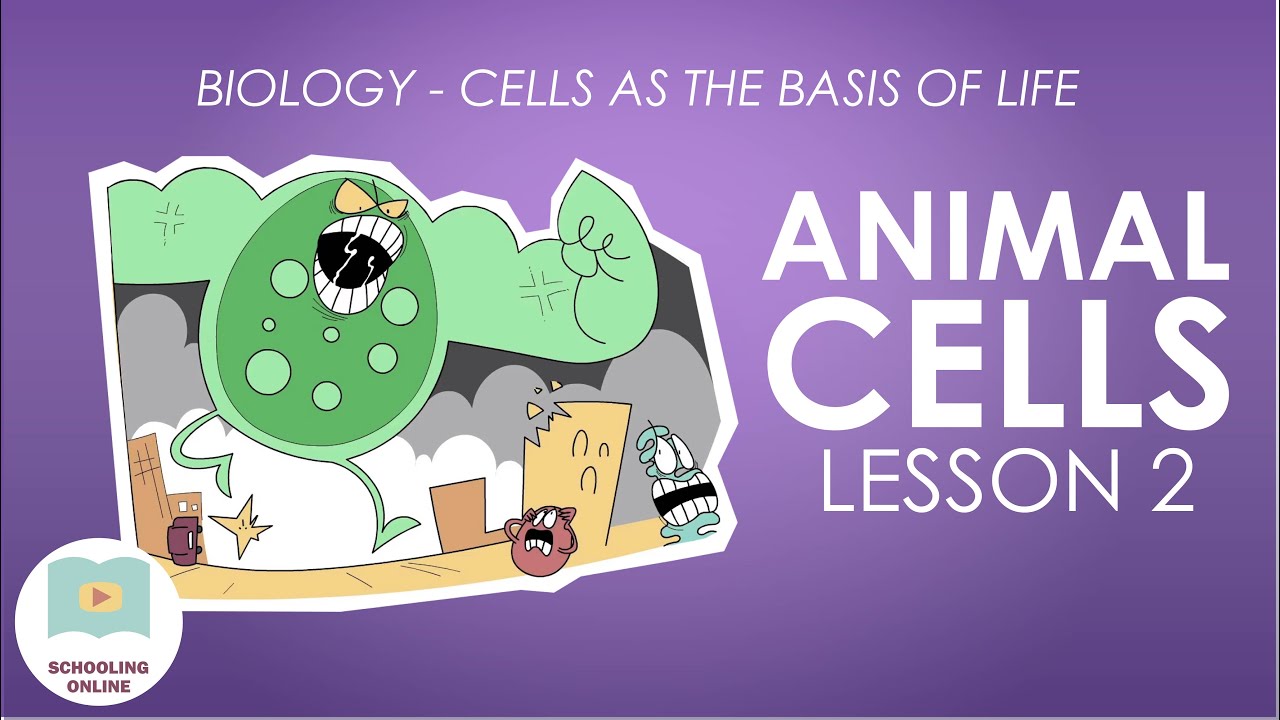 Animal Cells Lesson 2 - Structure and Function