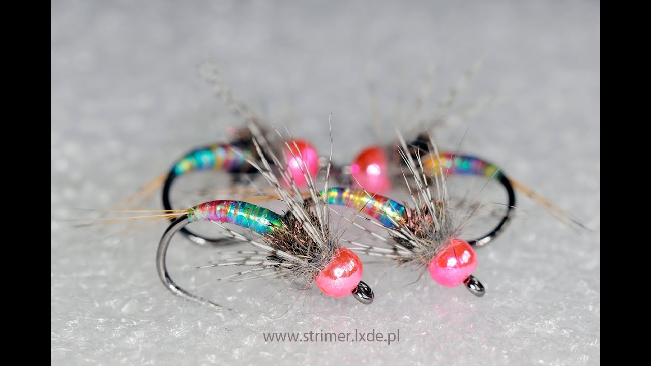 Rainbow Warrior Nymph
