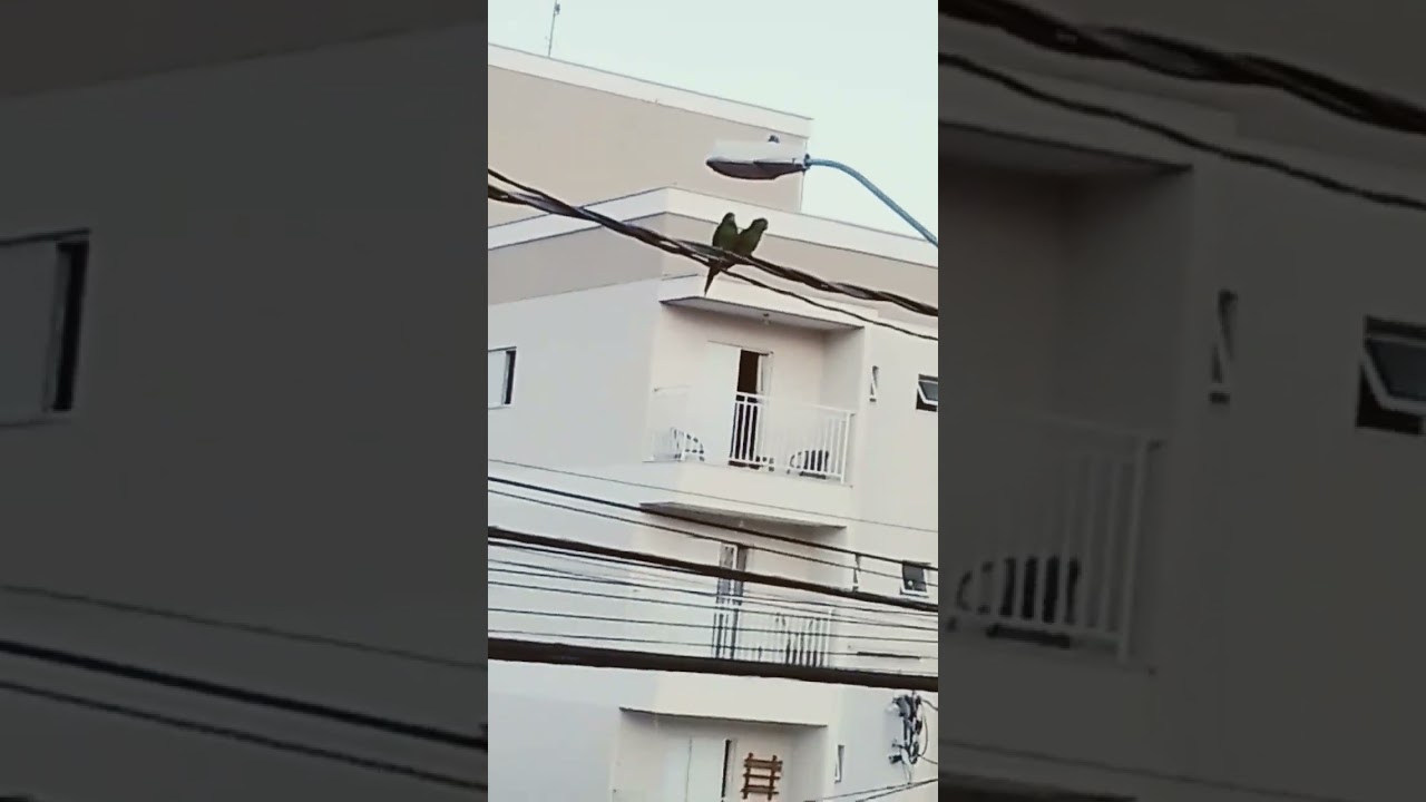 faladeira