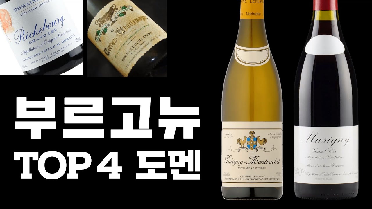 프랑스 부르고뉴 추천생산자 몰아보기 (르로이,afgro,꼬쉬뒤리,르플레브)