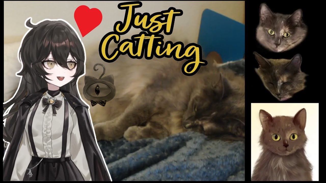 Cat petting ASMR to celebrate 2k Twitch followers! Thank you!【ASMR】
