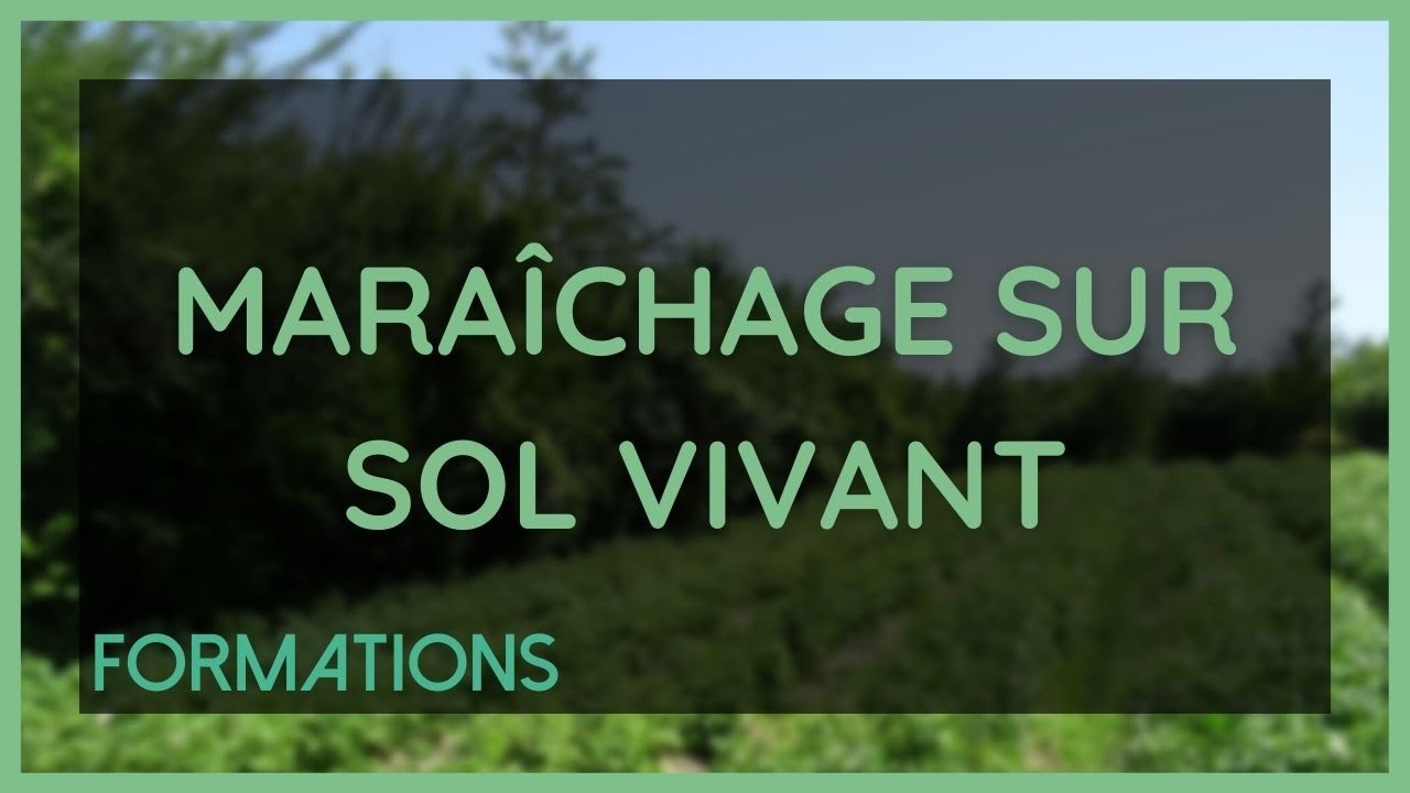 Itinéraires techniques en Maraîchage sur Sol Vivant & impacts sur la production avec Xavier Dubreucq