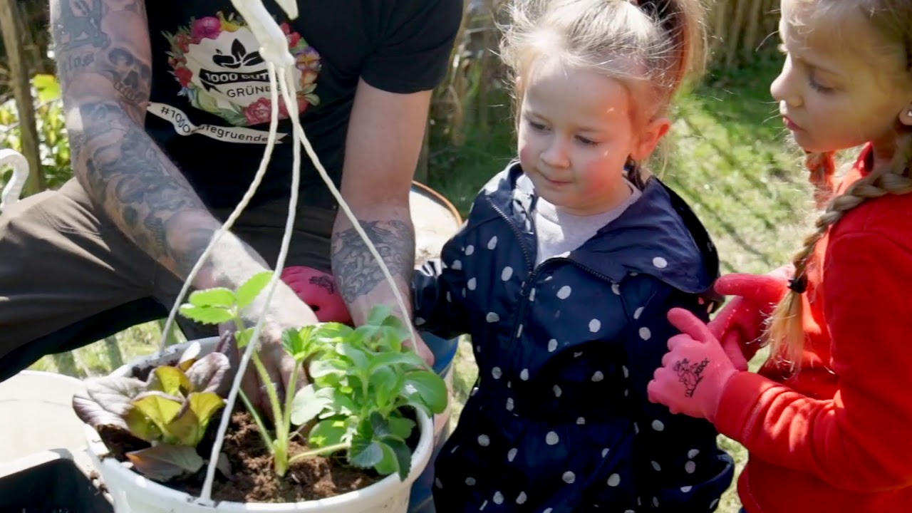 Kinderbeschäftigung gegen Lagerkoller - Ess-Ampel pflanzen - Tristan rockt den (Kinder) Garten