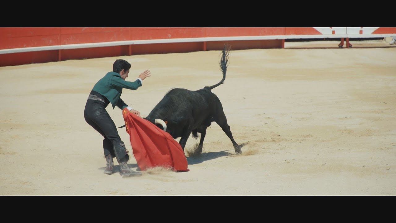 FERIA ALÈS 2019 : Encierro de Carretons & CAPEA 